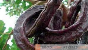 Locust Bean Gum (E410): efecto en el cuerpo