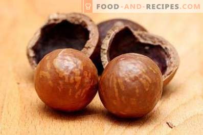Macadamia Nut: korist in škoda
