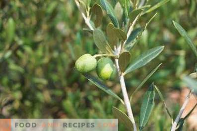 Comment faire de l'huile d'olive