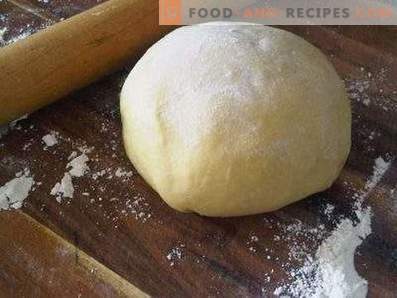 Testo za raviole v izdelovalcu kruha