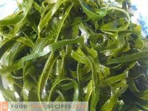Morske alge: korist in škoda
