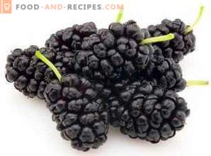 Mulberry: koristi za zdravje in škoda